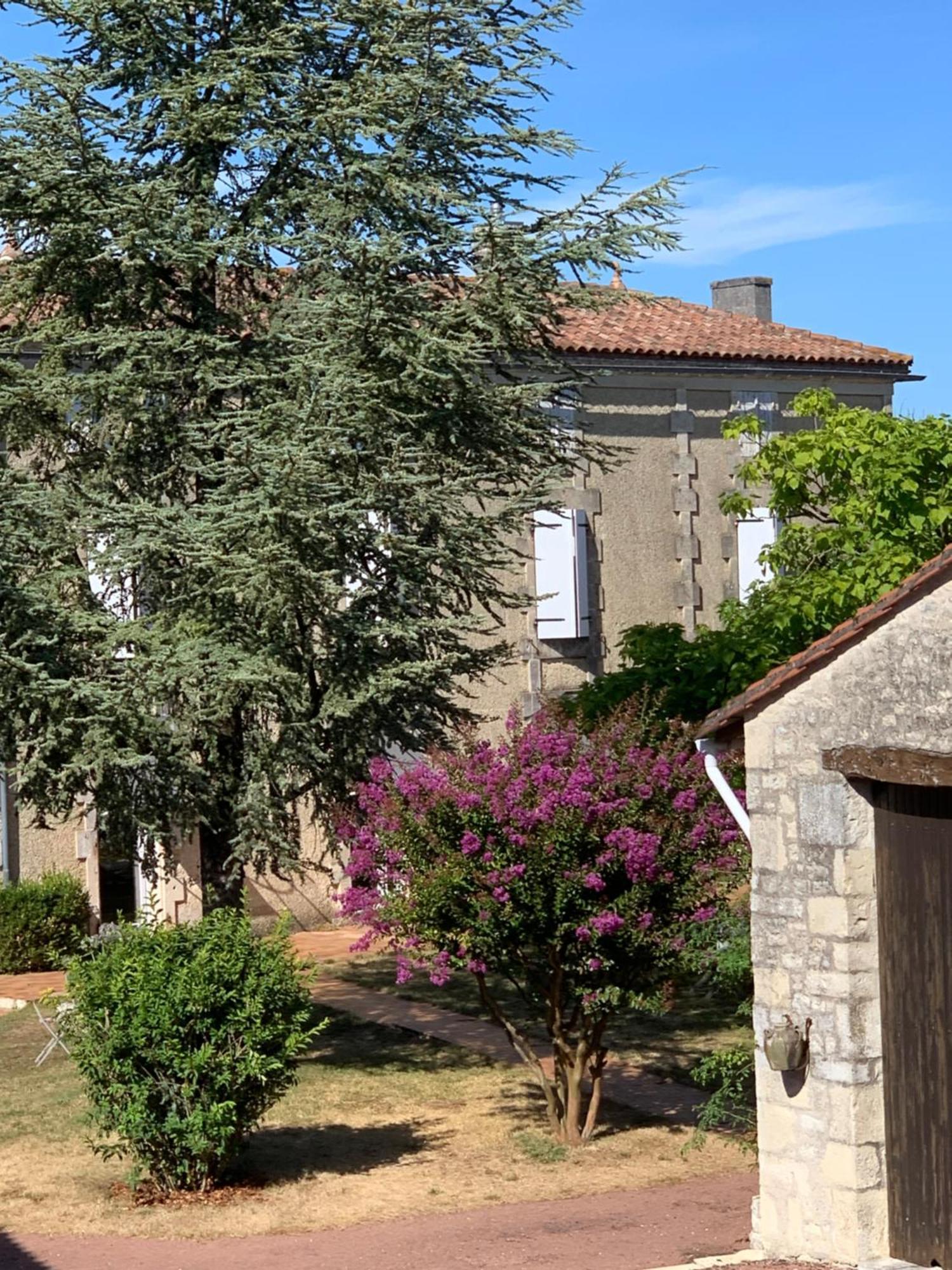 The Cool Lounge A Coulonges - Charente住宿加早餐旅馆 外观 照片
