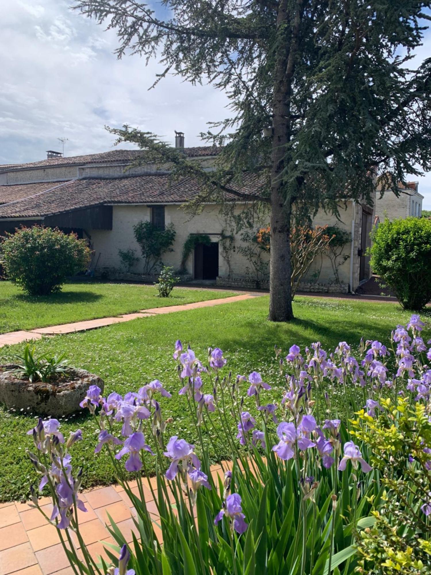 The Cool Lounge A Coulonges - Charente住宿加早餐旅馆 外观 照片