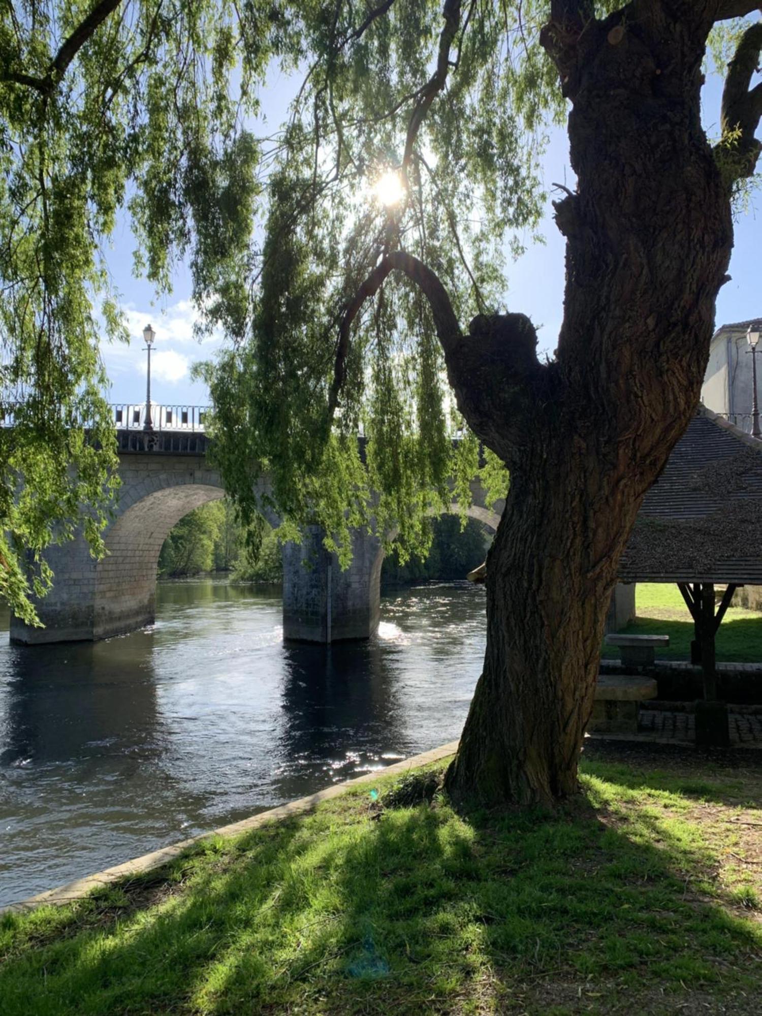 The Cool Lounge A Coulonges - Charente住宿加早餐旅馆 外观 照片